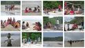 Sbado letivo - Um olhar pedaggico para o meio ambiente da Ilha das Peas - NRE Paranagu