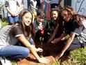 Escolas e Colgios Estaduais do NRE de Wenceslau Braz aderem ao Programa Paran Mais Verde