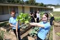 Escola cultiva horta em parceria com a comunidade