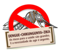Dia D  de Combate ao Aedes aegypti
